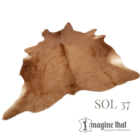 Cowhide Rug - SOL 37