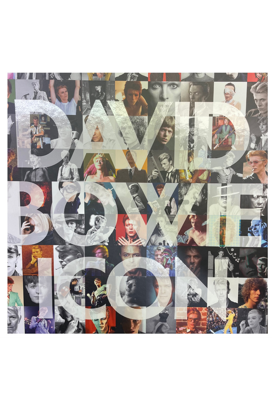 'David Bowie: Icon' Hard Cover Coffee Table Book