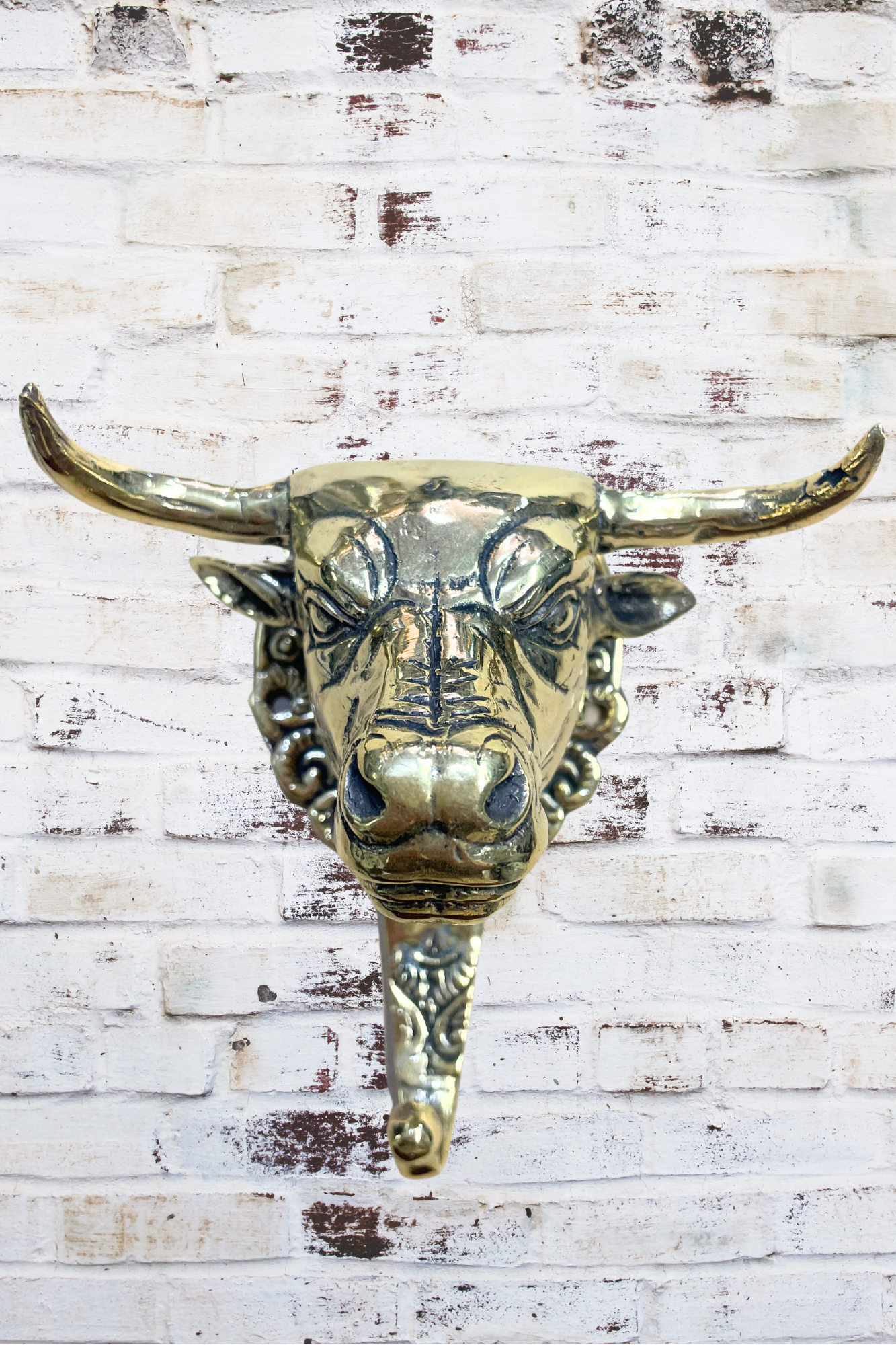 'Taurus Bull' Brass Wall Hook