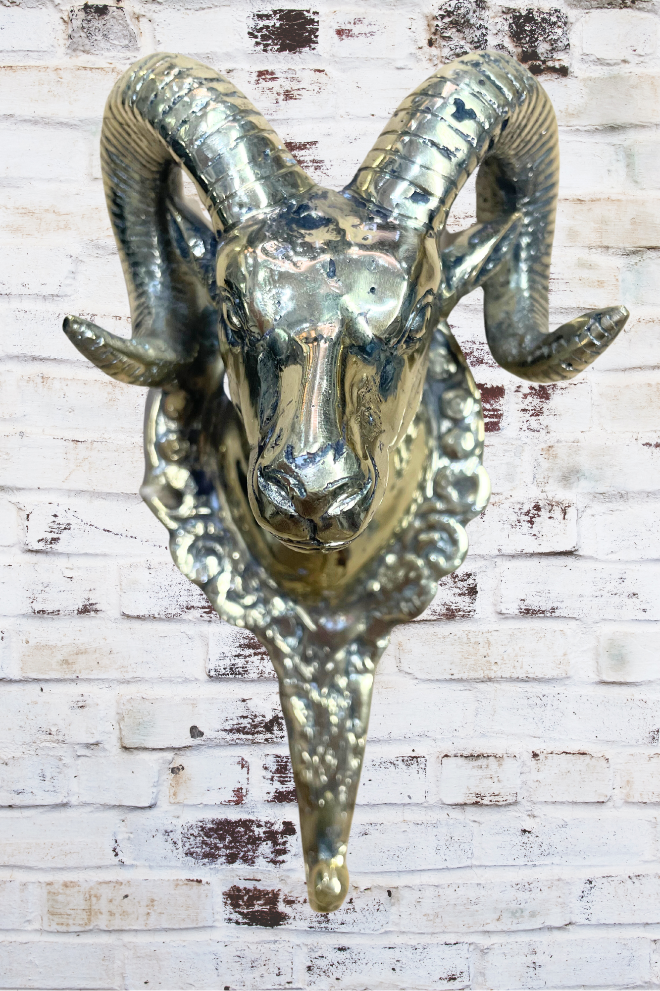 'Capricorn Billy' Brass Wall Hook