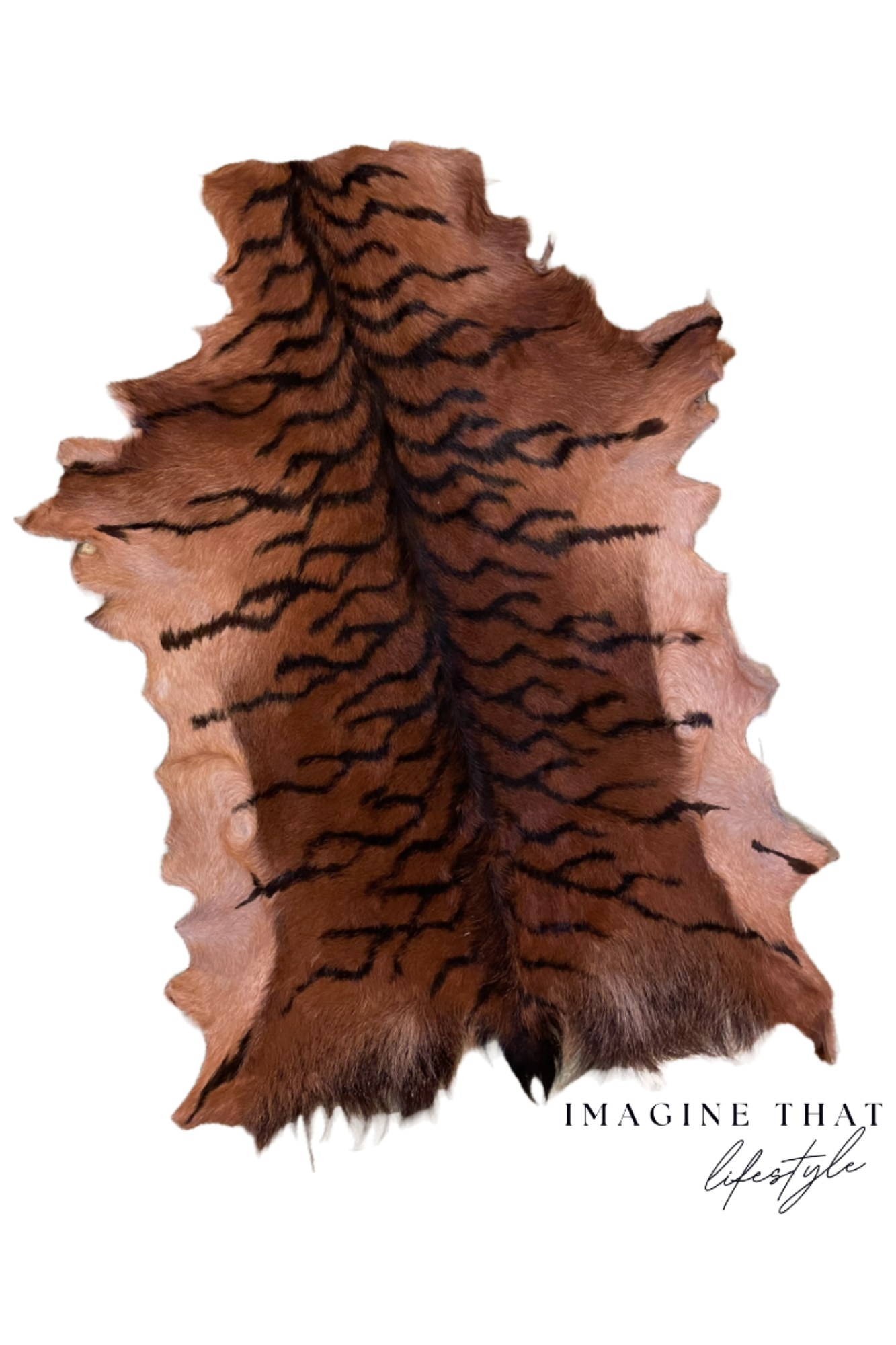 Goat Hide - Tiger Print - GHTIG3