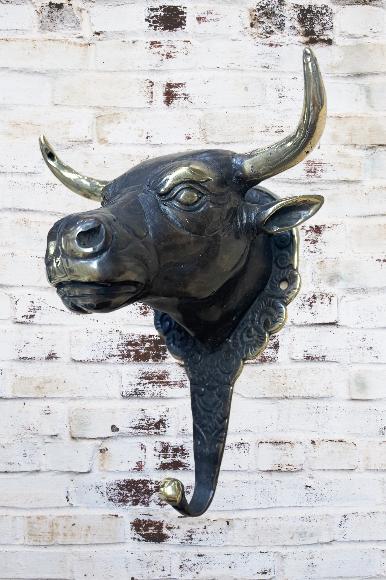 'Taurus Bull' Brass Wall Hook