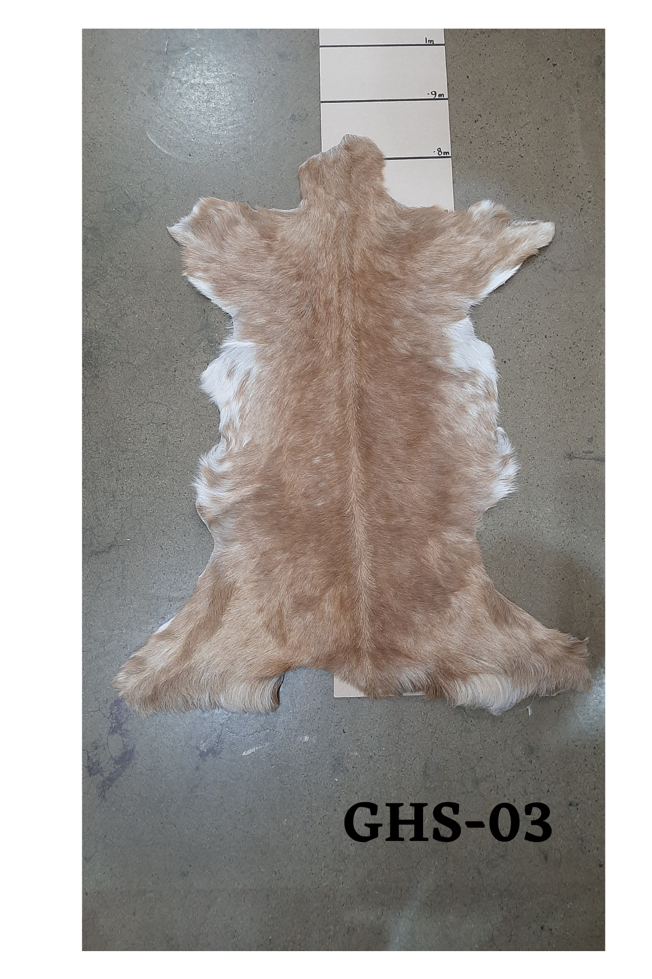 Goat Hide GHS03